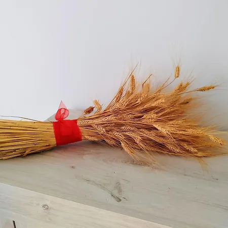 Md بيت ضيافة