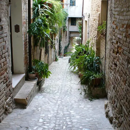 ゲストハウス Md Torre San Patrizio